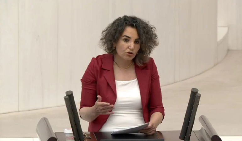 DEM Partili Çiçek Otlu: “Trans Kadınların Hormon İlaçları Ücretsiz Karşılanmalı”