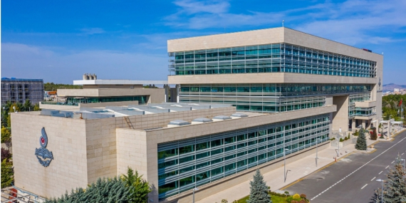 Anayasa Mahkemesinden Sahipsiz Sokak Hayvanları Kararı