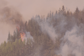 Brown Minimal Website Link Instagram Post