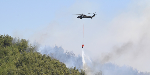 İçişleri Bakanlığı: Orman Yangınlarıyla İlgili 44 Kişi Gözaltında, 10 Kişi Tutuklandı