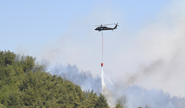 İçişleri Bakanlığı: Orman Yangınlarıyla İlgili 44 Kişi Gözaltında, 10 Kişi Tutuklandı