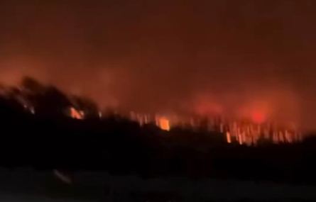 İzmir-Çeşme Otoyolu, orman yangınları sebebiyle trafiğe kapatıldı