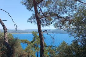 WhatsApp Image 2025-09-15 at 10.42.32