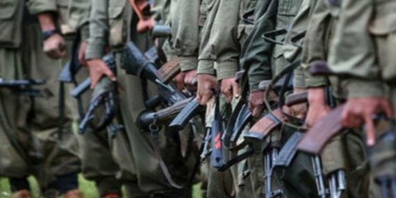 Türkiye Gazetesi: Silah bırakıp, suç işlemeyene ceza yok